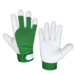 DriverGloves